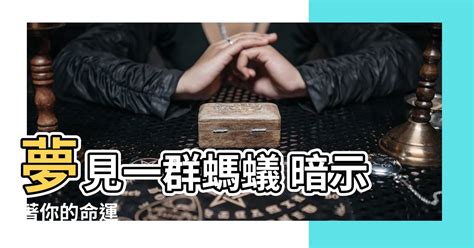 一羣螞蟻